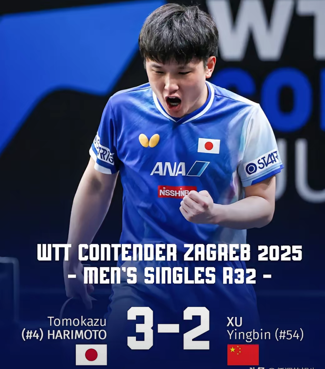 日本队翻盘法国队，张本智和高光表现