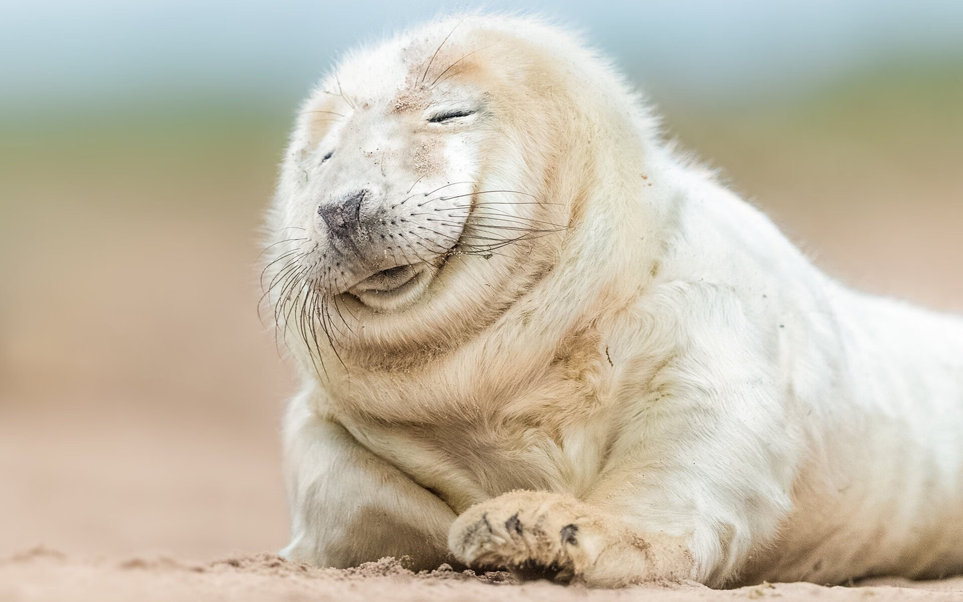 开云下载-冰与火之歌！广厦力克黄蜂，拉文临危救主化身关键先生