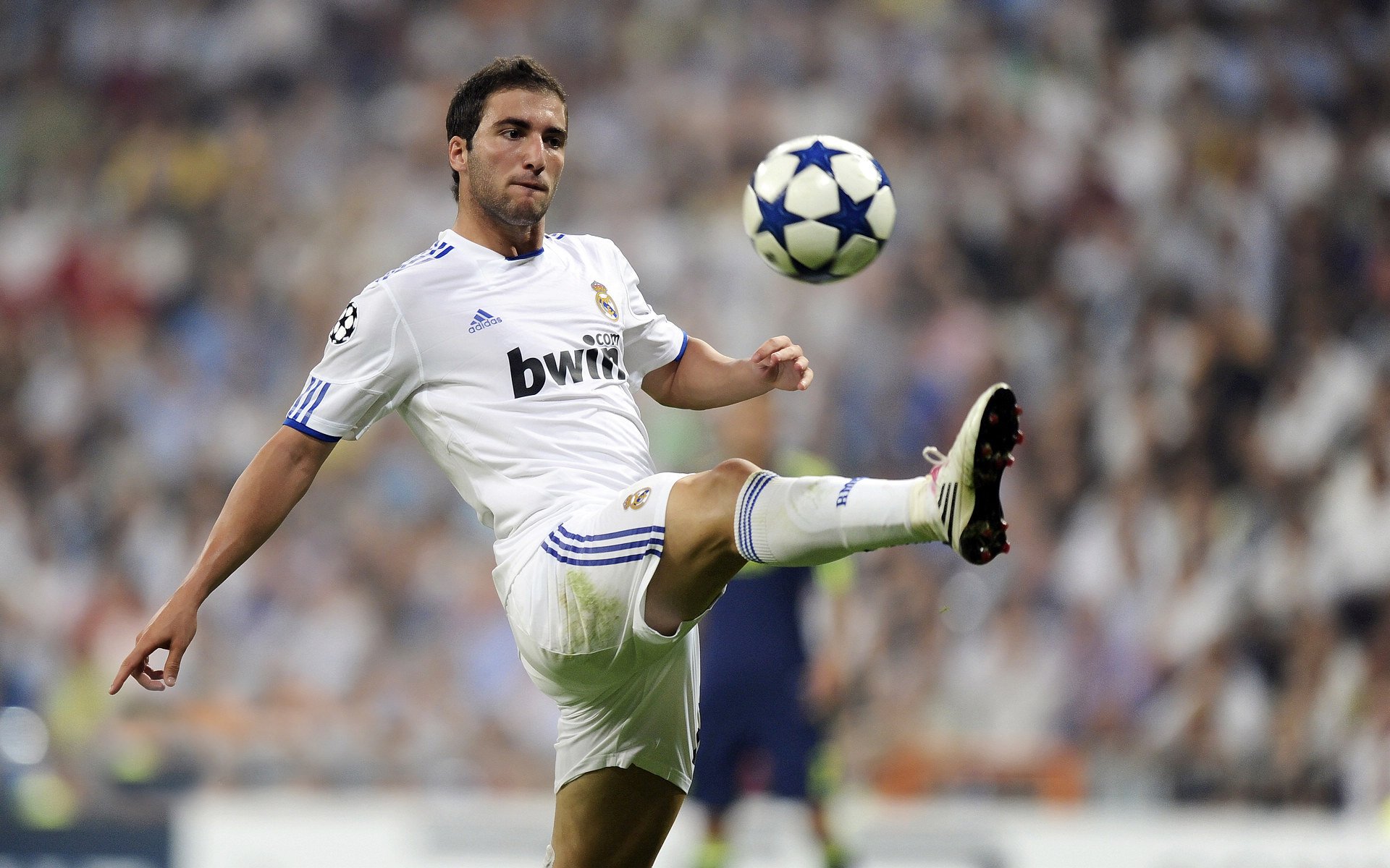 开云下载-破雨夜，定乾坤，非葡裔的他如何成为葡萄牙新救世主？