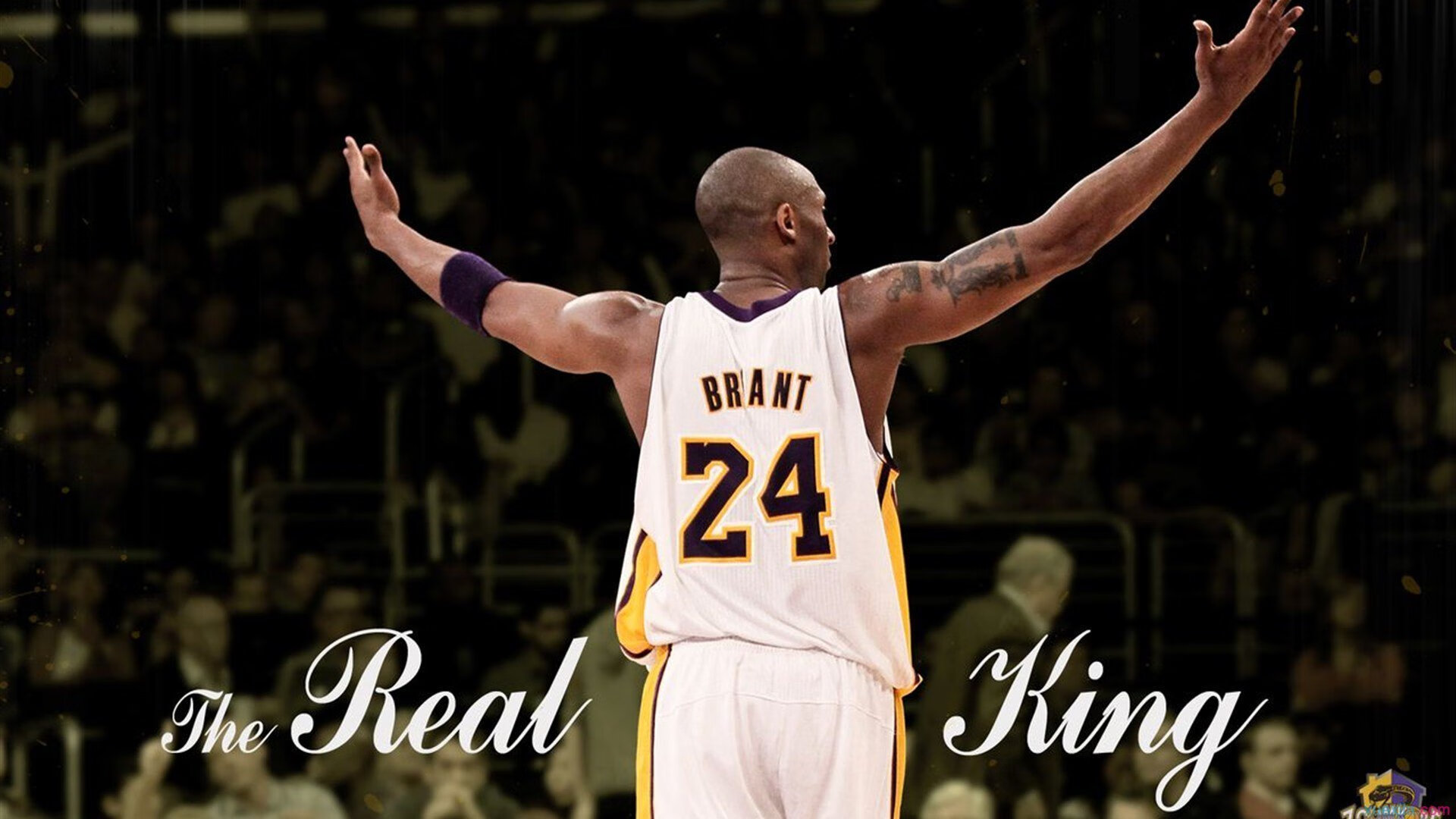 开云体育官网-2026世界杯史诗夜，恩比德，用一场比赛导演国家命运